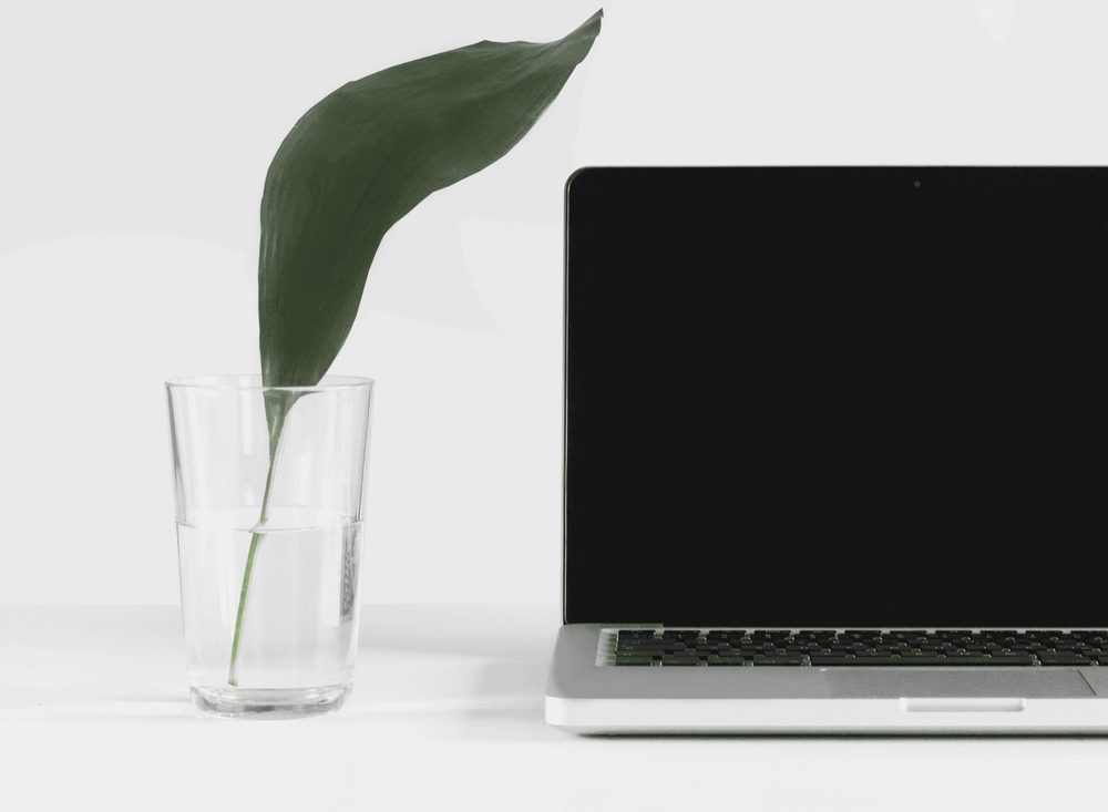 Notre site web est éco-conçu ! Découvrez notre démarche