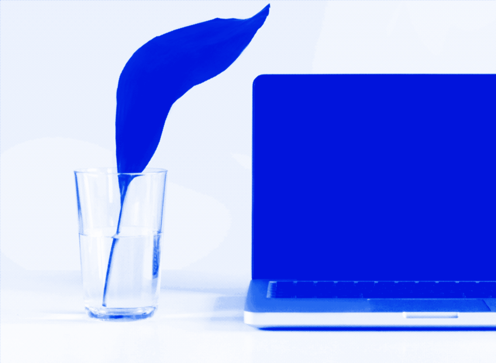 Notre site web est éco-conçu ! Découvrez notre démarche