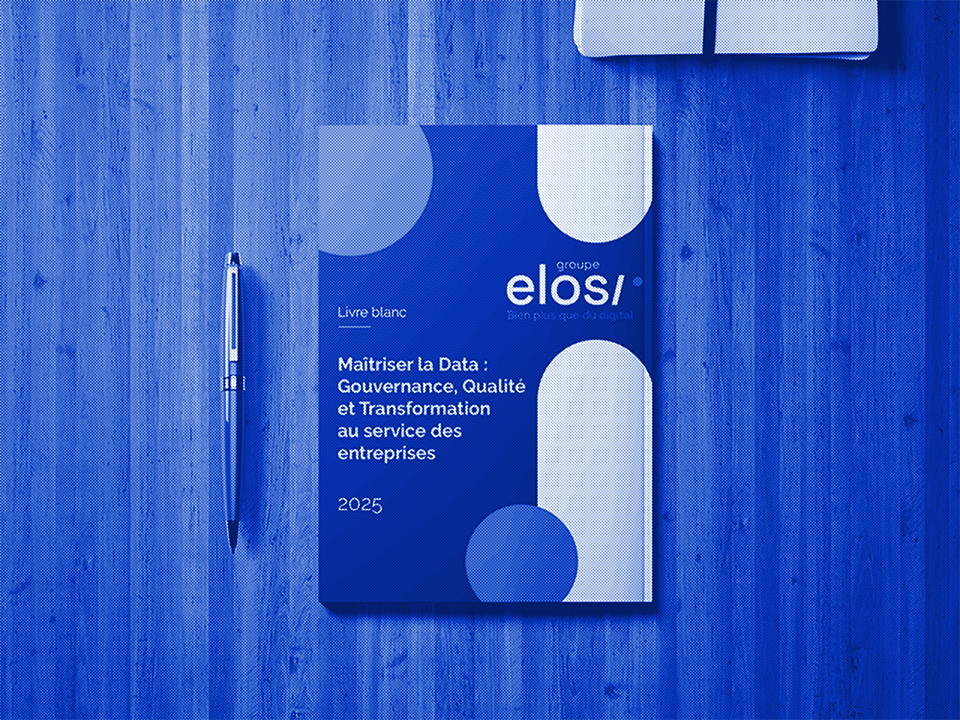 Maîtriser la Data : Gouvernance, Qualité et Transformation au service des entreprises