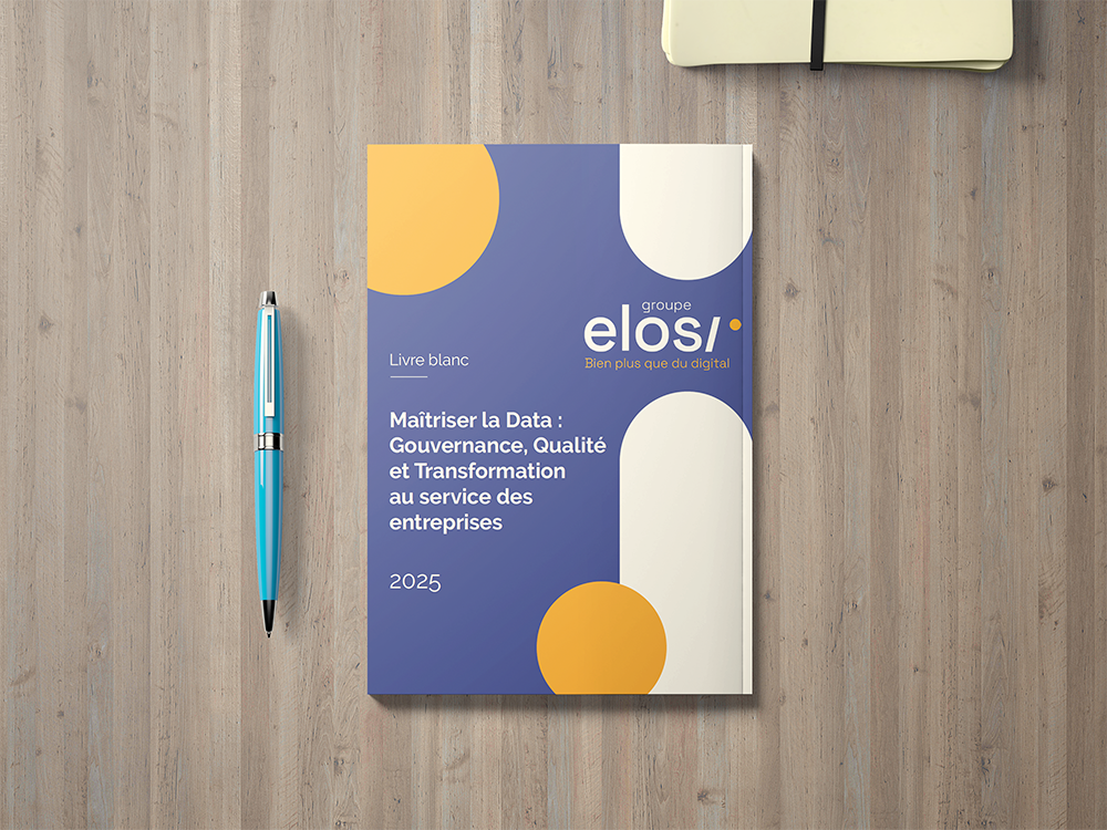 Maîtriser la Data : Gouvernance, Qualité et Transformation au service des entreprises